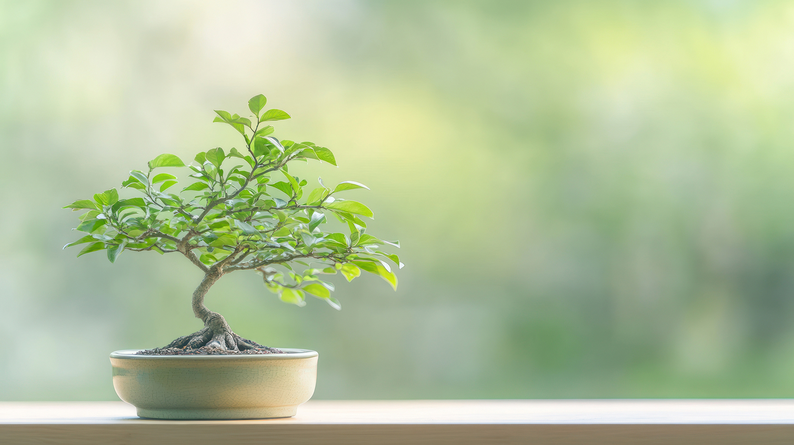 The silhouette of a woman with arms raised at sunrise